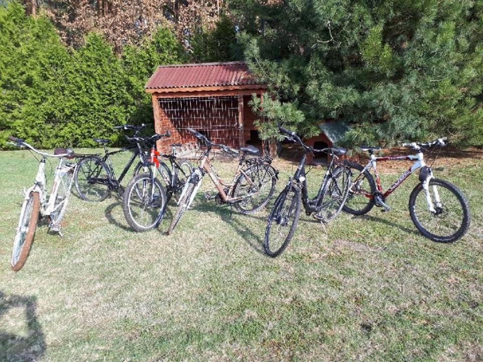 Stajnia Zwierzyniec *