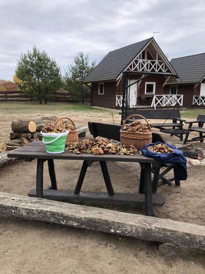 Stajnia Zwierzyniec Chalet Miedzychod